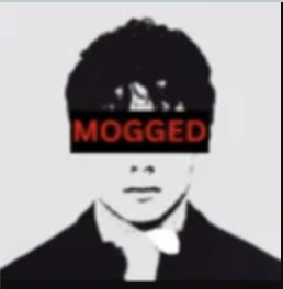 MOGGED logo